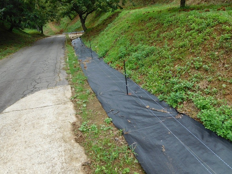 電気柵周りの雑草対策に最適な防草シートが遂に登場 雑草対策のプロショップ らくプロネット